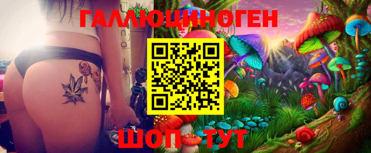 Псилоцибиновые грибы Psilocybine cubensis Тимашёвск
