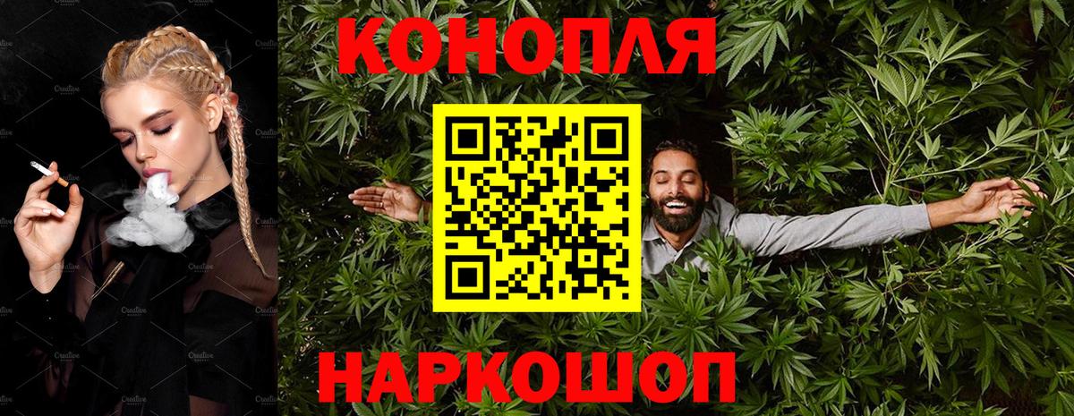 Бошки марихуана марихуана  Бошки марихуана планчик  Вход с VPN  Тимашёвск  Конопля сатива 